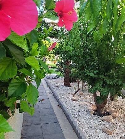 Estudio De Lujo Torrevieja Eksteriør bilde
