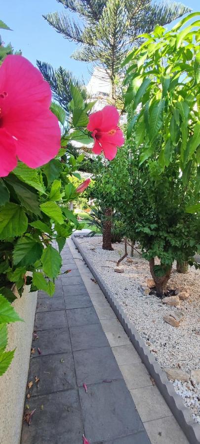 Estudio De Lujo Torrevieja Eksteriør bilde